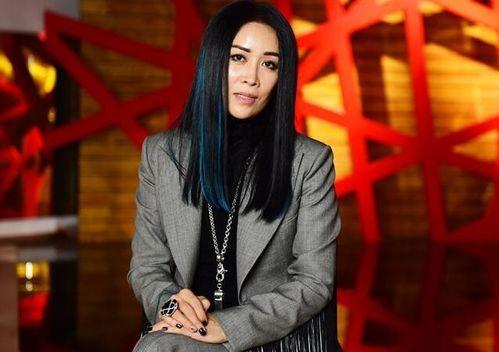 最新爆料那英过往视频,揭秘歌手背后的故事与争议 第3张 最新爆料那英过往视频,揭秘歌手背后的故事与争议 第3张